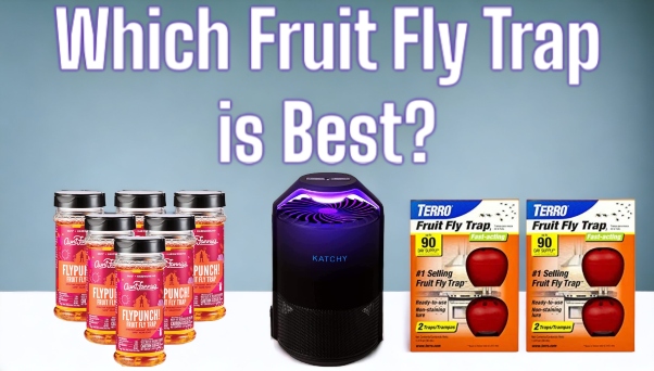 Kombucha Lovers Rejoice: How to Get Rid of Fruit Flies with 3 Effective Traps